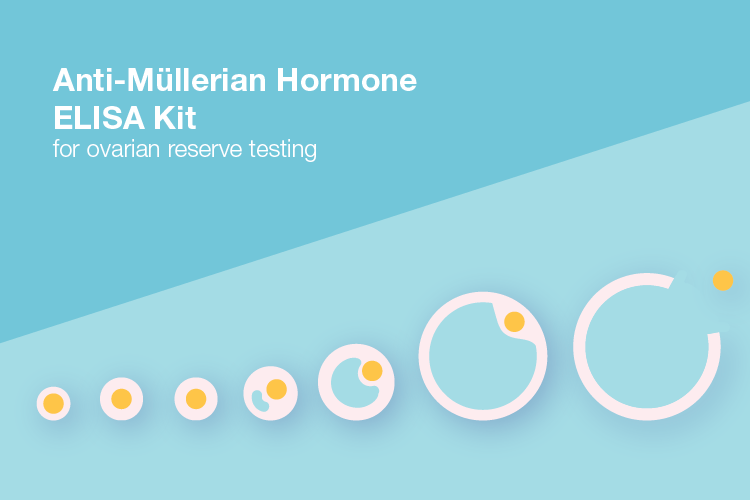 Anti-Mullerian Hormone ELISA Kit for ovarian reserve testing