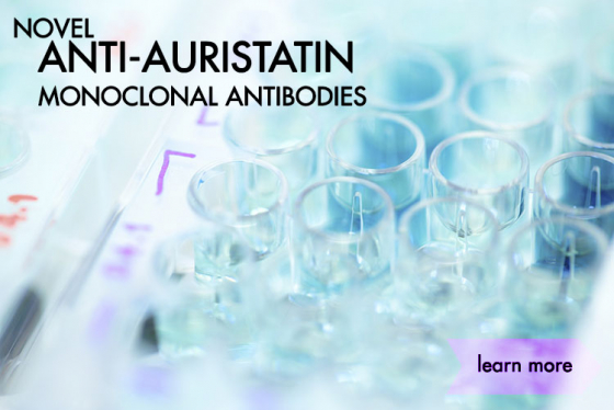Novel Anti-Auristatin Monoclonal Antibodies