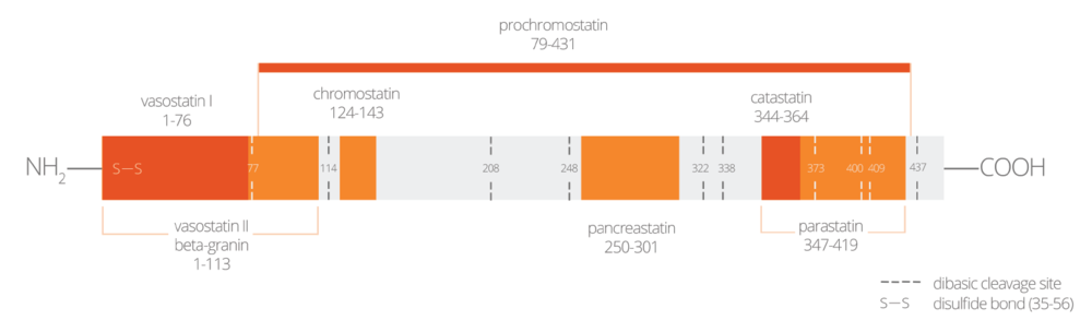 Epitope Diagnostics’ EDI Human Chromogranin A ELISA Kit Research Graph