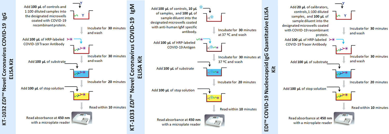 Epitope Diagnostics COVID-19 Product Assay Protocols