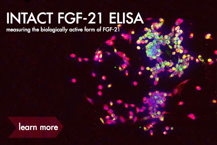 Intact FGF-21 ELISA measuring the biologically active form of FGF-21